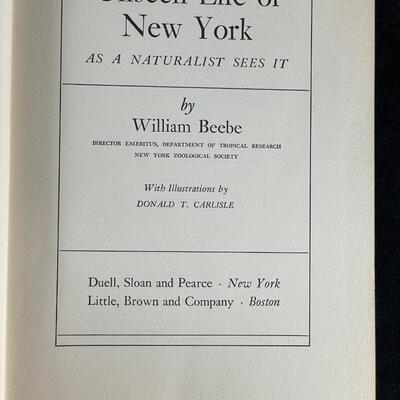 Lot 202. Two Vintage Books