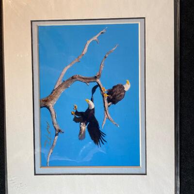Lot 206. Wildlife Lot