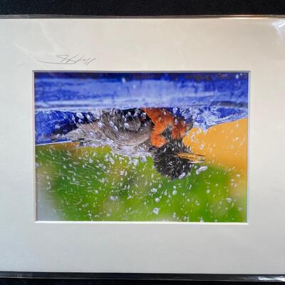 Lot 206. Wildlife Lot