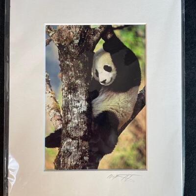 Lot 206. Wildlife Lot