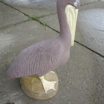 Concrete Pelican