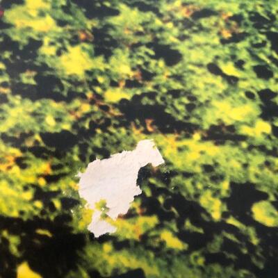 Pink Floyd Dark Side of the Moon Original Poster. Condition Issues, See Pics.