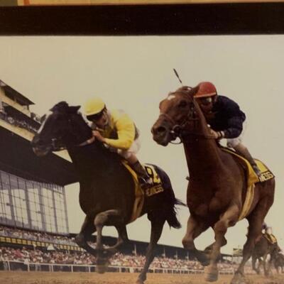 Jimmy the Greek signed framed 18â€ wide x 16â€ high Horse ðŸŽ Racing Memorabilia