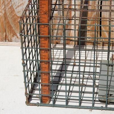 Cage trap