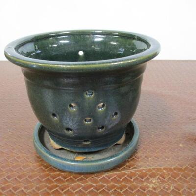 Plant Pot