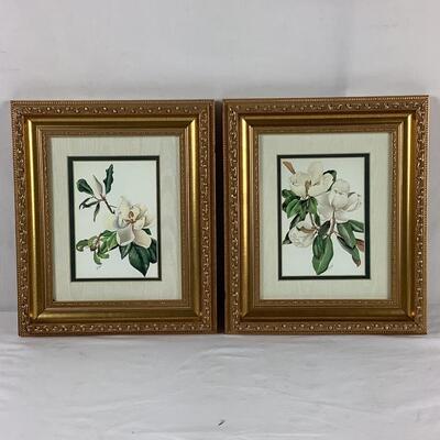 5193 Framed Double Matted Botanical Prints by B. Long