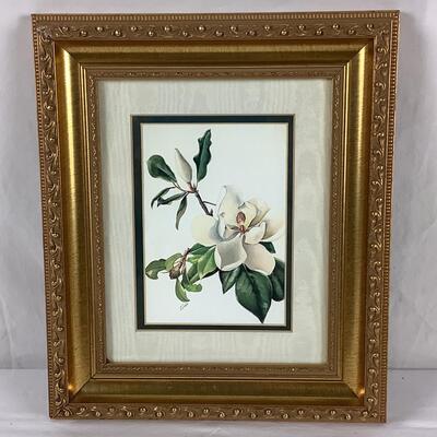 5193 Framed Double Matted Botanical Prints by B. Long