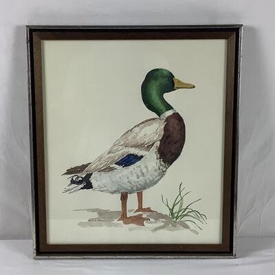 5197 Original Watercolor of Duck by Joyce R. Smedley & Robert L. Collins Print Signed & Numbered 47/250 Waterfowl Litho