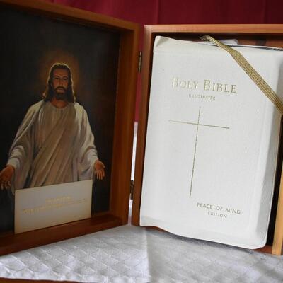 Holy Bible Box Lot