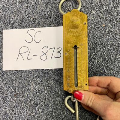 Pocket balance 56# scale