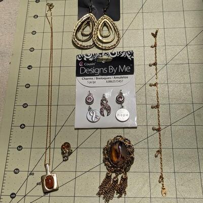 Variety Lot of Charms, Necklaces, and Earrings