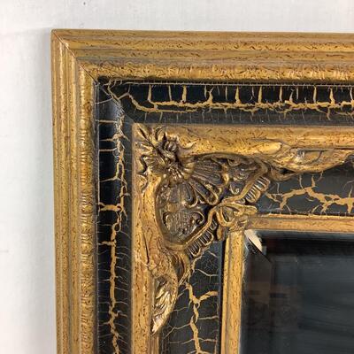 5213 Black & Gold Framed Hanging Mirror