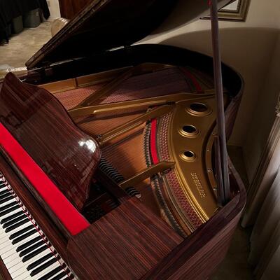 Stegler 5â€™ Baby Grand Piano