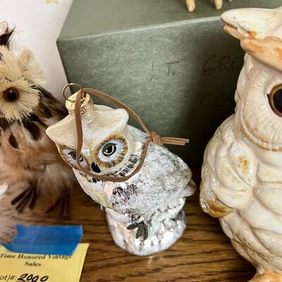 Owl Collection and book case