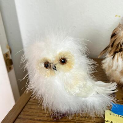 Owl Collection and book case