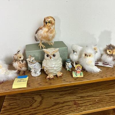 Owl Collection and book case
