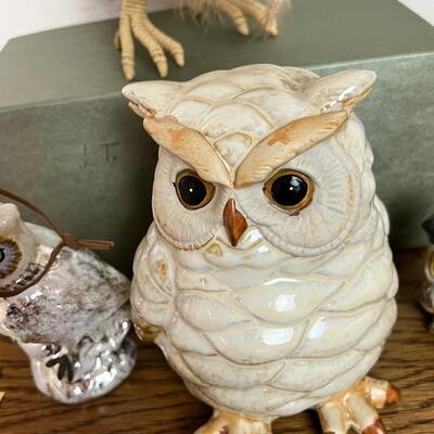 Owl Collection and book case