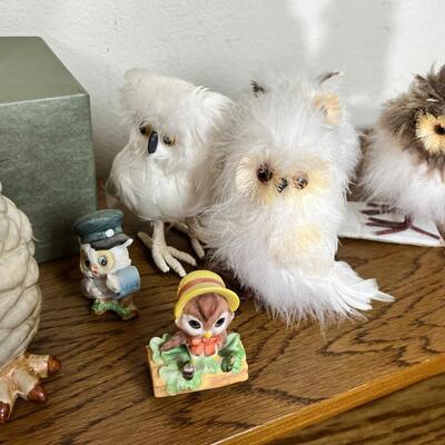 Owl Collection and book case