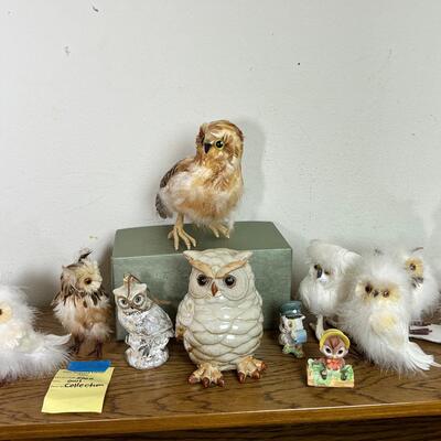 Owl Collection and book case