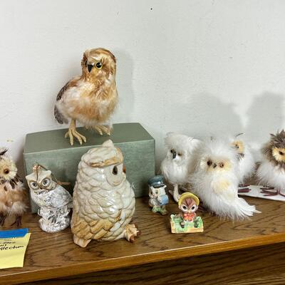 Owl Collection and book case