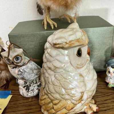 Owl Collection and book case