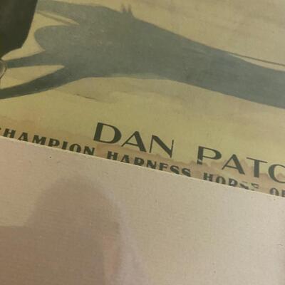 Dan Patch Framed Print 