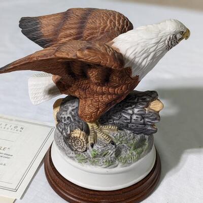 The American Bald Eagle, Excellent Condition