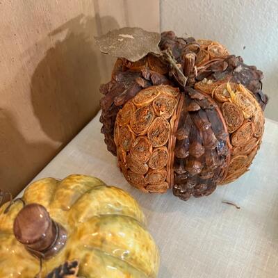 Pumpkin collectors lot #2