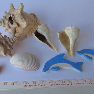 Shells and Dolphins