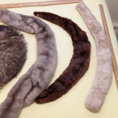 Rare Collection of Such Variety of Fur Stoles
