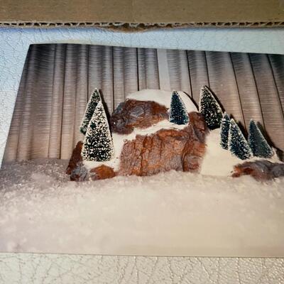 Department 56 ~ Bristle Trees