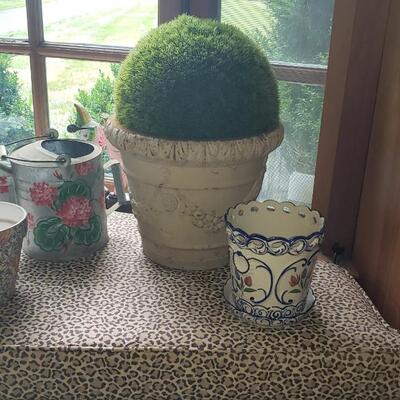 2 pots, a watering can and a topiary