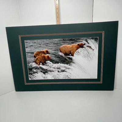 Alaskan Wildlife print Mama Bear and Cubs in search of food