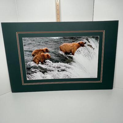 Alaskan Wildlife print Mama Bear and Cubs in search of food