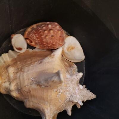 Painted bucket of dog with shells in it