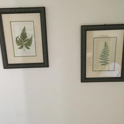 Pair of fern prints