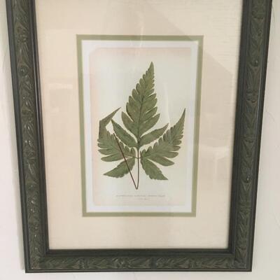 Pair of fern prints