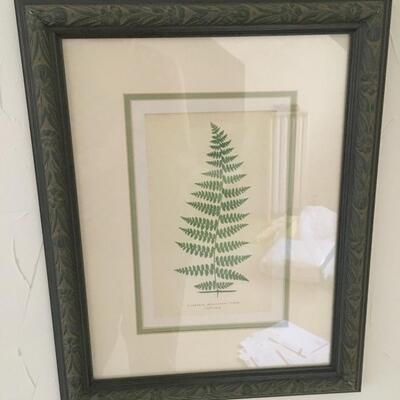 Pair of fern prints
