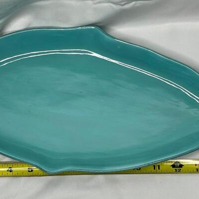 Teal colored fish tray