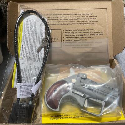 Bearman - Big Bore .38 Special Derringer Guardian Satin (NEW)