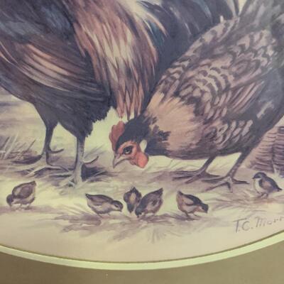 Vintage Rooster/Hen/Chicks Picture 14.5â€ wide x 12.5â€ high approx