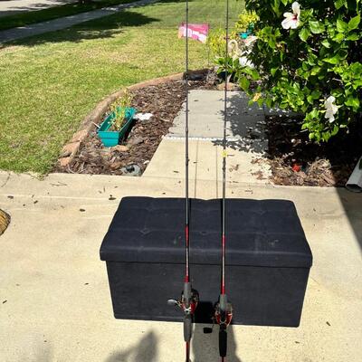 2 fishing poles