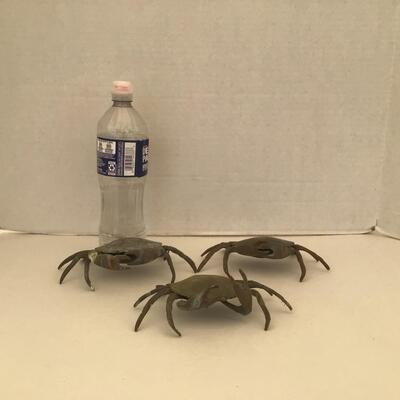 5354 Set of 3 Brass Crabs