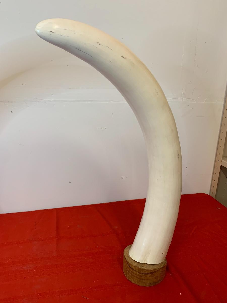 Faux Elephant Tusks | EstateSales.org