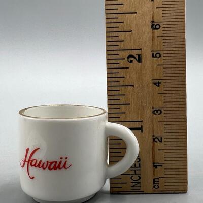 Hawaiian Souvenir Small Ceramic Tea Cup & Saucer