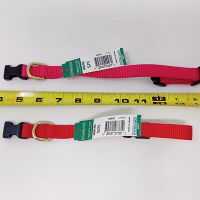 PAIR OF SMALL RED DOG COLLARS