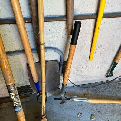 Contents of garden shed