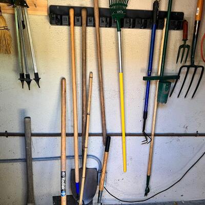 Contents of garden shed
