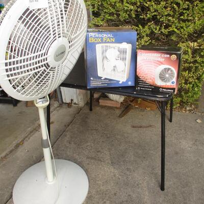 Three Fans