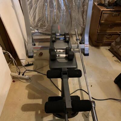Lot 601R: Weider Pro Weight Bench & Weights